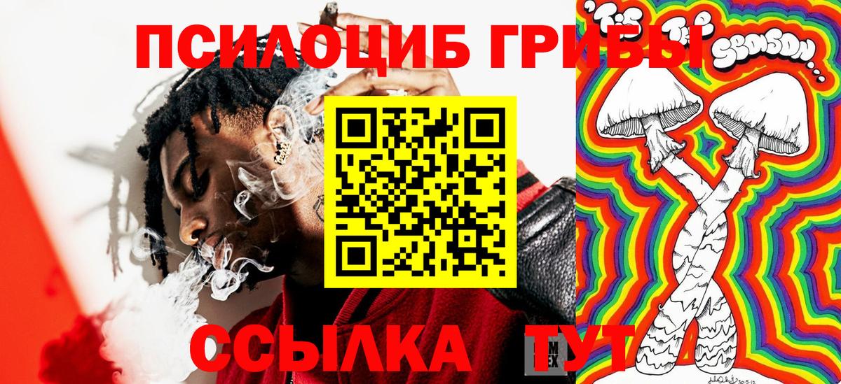 Галлюциногенные грибы Cubensis Бахчисарай